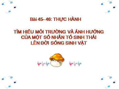 Bài 45. Thực hành: Tìm hiểu môi trường và ảnh hưởng của một số nhân tố sinh thái lên đời sống sinh vật