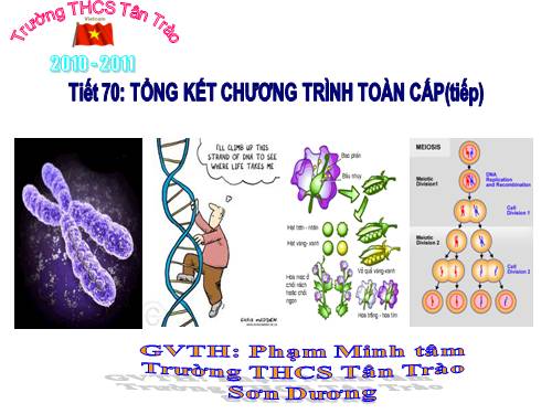 Bài 64. Tổng kết chương trình toàn cấp