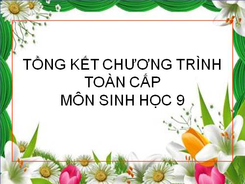 Bài 64. Tổng kết chương trình toàn cấp