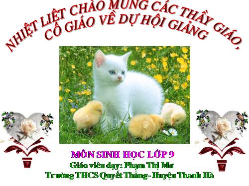 Bài 44. Ảnh hưởng lẫn nhau giữa các sinh vật