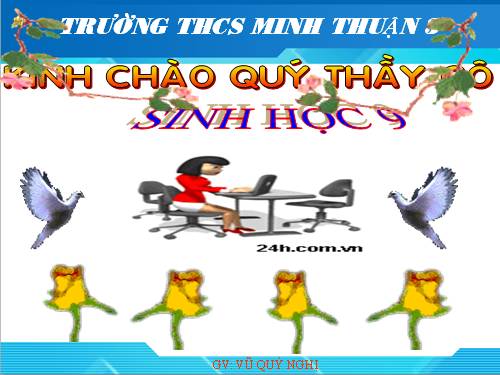 Bài 50. Hệ sinh thái