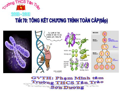 Bài 65. Tổng kết chương trình toàn cấp (tiếp theo)