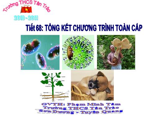 Bài 64. Tổng kết chương trình toàn cấp