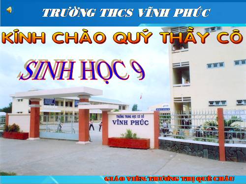 Bài 50. Hệ sinh thái