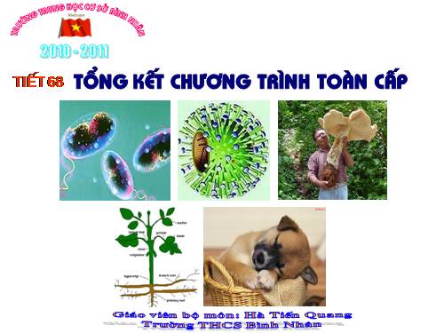 Bài 64. Tổng kết chương trình toàn cấp