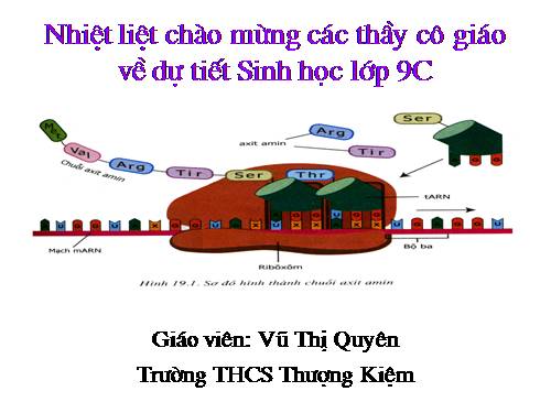 Bài 19. Mối quan hệ giữa gen và tính trạng