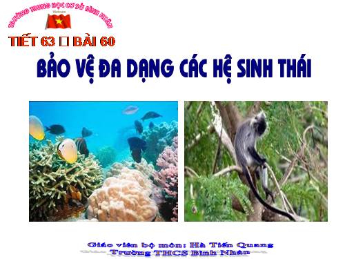 Bài 60. Bảo vệ đa dạng các hệ sinh thái