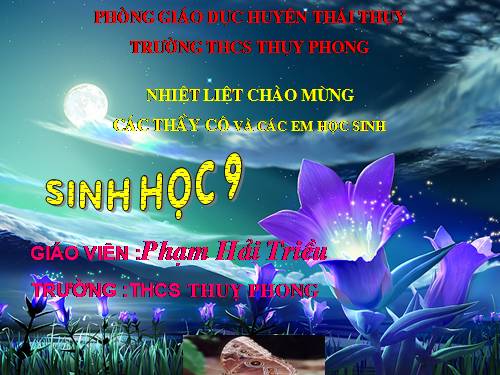 ôn tập chương2 :Hệ sinh thái