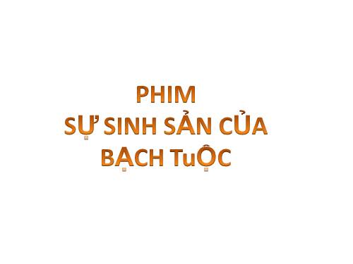 Sự sinh sản của bạch tuộc