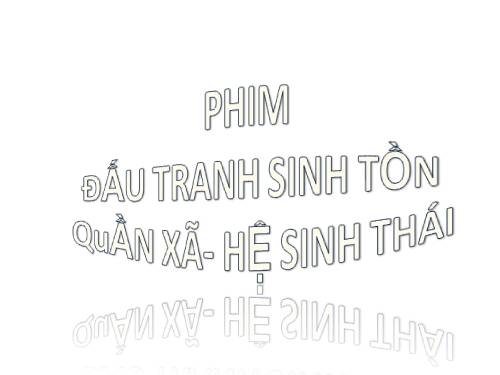 phim- quần thể, hệ sinh thái, đấu tranh sinh tồn