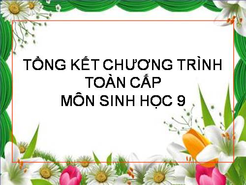 Bài 65. Tổng kết chương trình toàn cấp (tiếp theo)