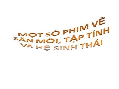 Một số phim về: săn mồi, hệ sinh thái, tập tính