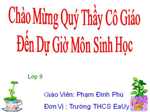 Bài 55. Ô nhiễm môi trường (tiếp theo)