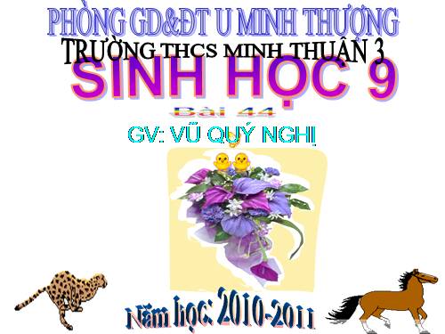 Bài 44. Ảnh hưởng lẫn nhau giữa các sinh vật