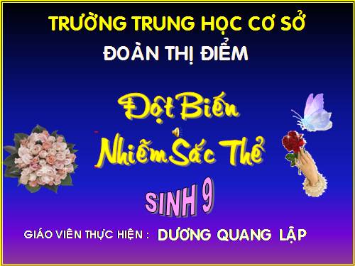 Bài 24. Đột biến số lượng nhiễm sắc thể (tiếp theo)