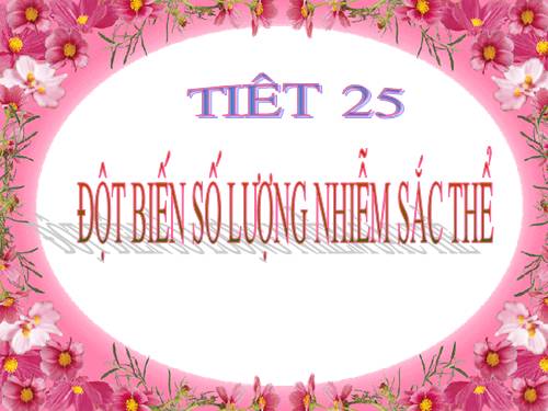 Bài 24. Đột biến số lượng nhiễm sắc thể (tiếp theo)