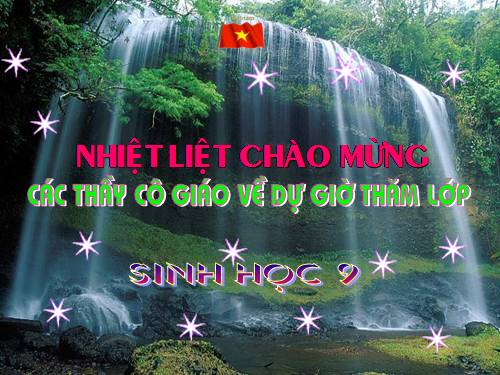 Bài 13. Di truyền liên kết