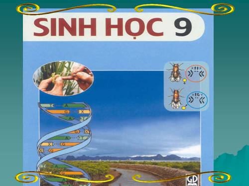Bài 55. Ô nhiễm môi trường (tiếp theo)