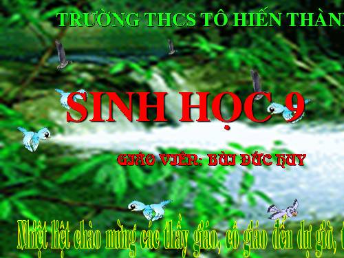 Bài 50. Hệ sinh thái