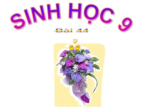 Bài 44. Ảnh hưởng lẫn nhau giữa các sinh vật