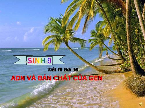 Bài 16. ADN và bản chất của gen