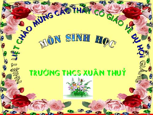 Bài 29. Bệnh và tật di truyền ở người