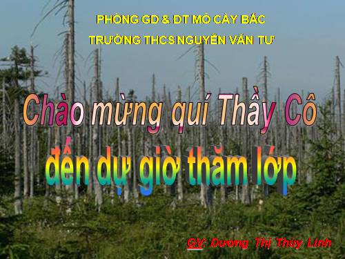 Bài 55. Ô nhiễm môi trường (tiếp theo)