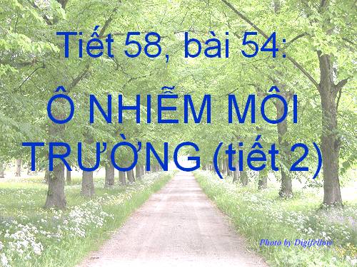 Bài 55. Ô nhiễm môi trường (tiếp theo)