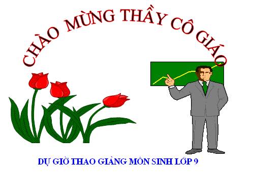 Bài 19. Mối quan hệ giữa gen và tính trạng