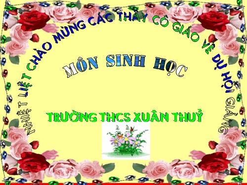 Bài 29. Bệnh và tật di truyền ở người