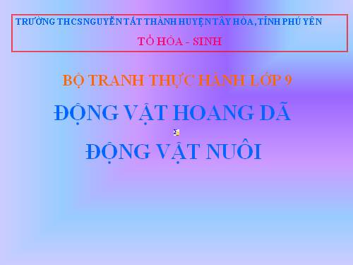 TẬP TRANH THỰC HÀNH SINH 9