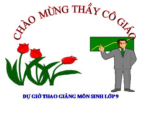 Bài 19. Mối quan hệ giữa gen và tính trạng