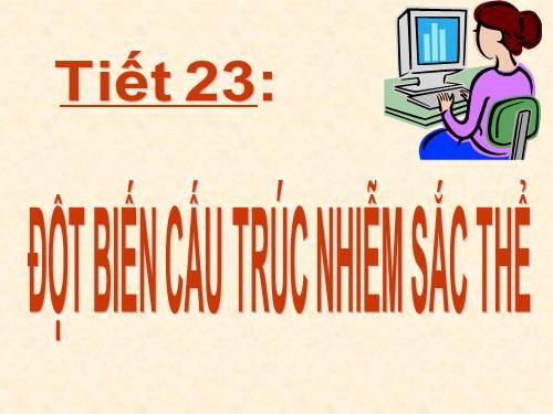 Bài 22. Đột biến cấu trúc nhiễm sắc thể