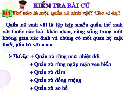 Bài 50. Hệ sinh thái