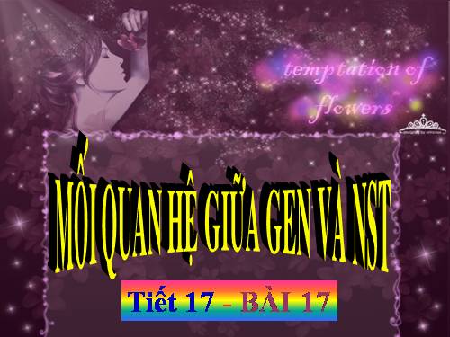 Bài 17. Mối quan hệ giữa gen và ARN