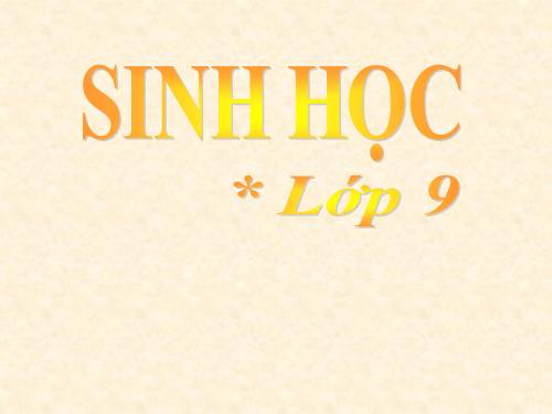Bài 55. Ô nhiễm môi trường (tiếp theo)