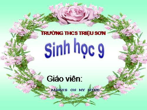 Bài 50. Hệ sinh thái