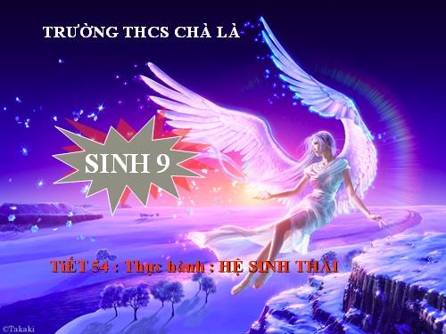 Bài 51. Thực hành: Hệ sinh thái