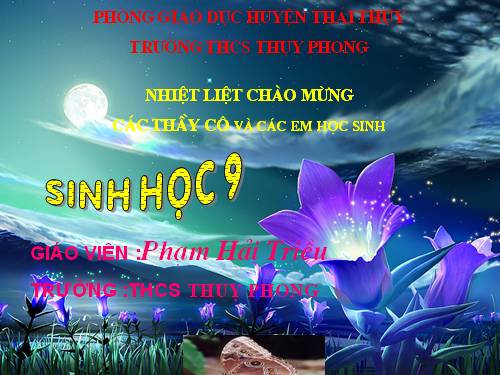 Bài 50. Hệ sinh thái