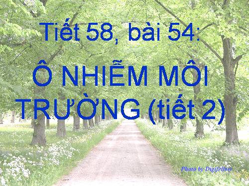 Bài 55. Ô nhiễm môi trường (tiếp theo)