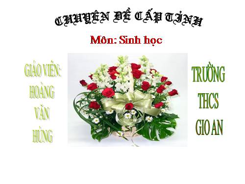 Bài 50. Hệ sinh thái