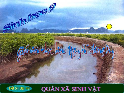 Bài 49. Quần xã sinh vật