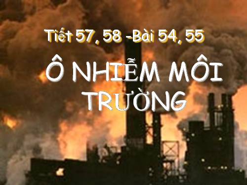 Bài 54. Ô nhiễm môi trường