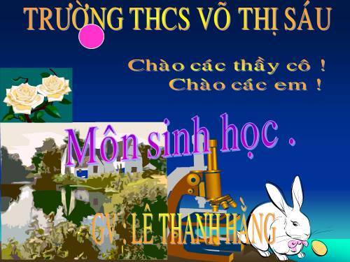 Bài 50. Hệ sinh thái