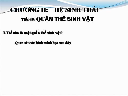 Bài 47. Quần thể sinh vật