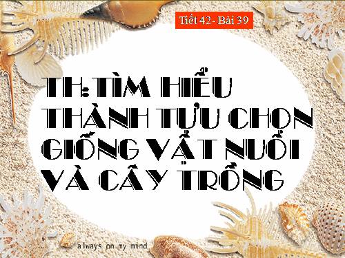 Bài 39. Thực hành: Tìm hiểu thành tựu chọn giống vật nuôi và cây trồng