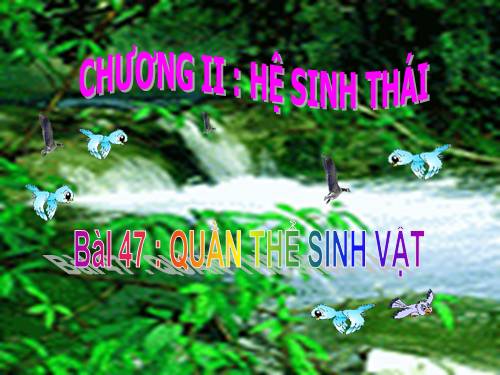 Bài 47. Quần thể sinh vật