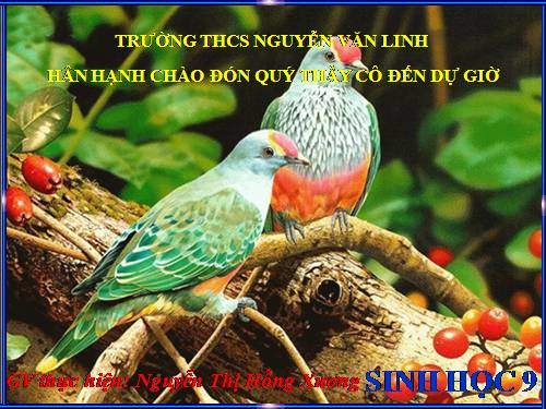 Bài 34. Thoái hoá do tự thụ phấn và do giao phối gần