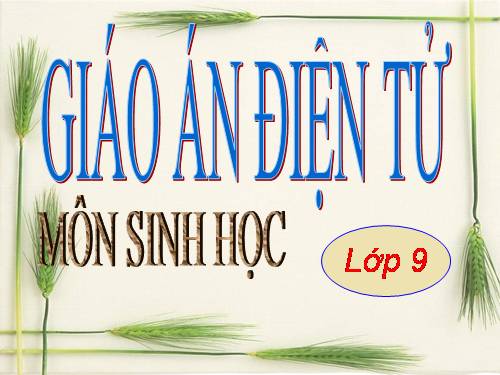 Bài 58. Sử dụng hợp lí tài nguyên thiên nhiên