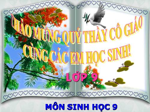 Bài 44. Ảnh hưởng lẫn nhau giữa các sinh vật